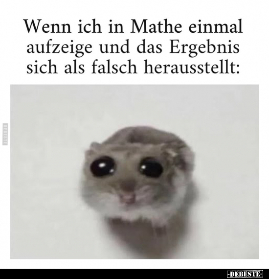 Wenn ich in Mathe einmal aufzeige und das Ergebnis sich als.. - Lustige Bilder | DEBESTE.de