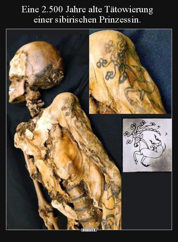 Eine 2.500 Jahre alte Tätowierung einer sibirischen.. - Lustige Bilder | DEBESTE.de