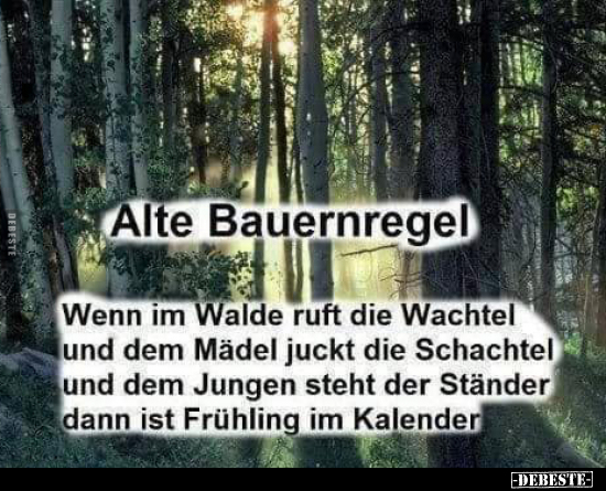 Alte Bauernregel: Wenn im Walde ruft die Wachtel.. - Lustige Bilder | DEBESTE.de