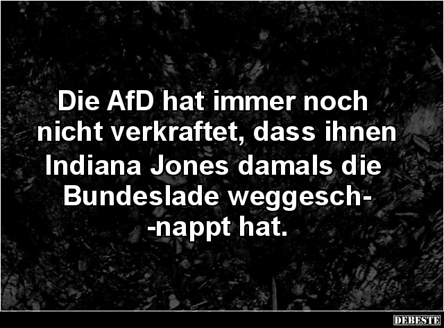 Die AfD hat immer noch nicht verkraftet.. - Lustige Bilder | DEBESTE.de