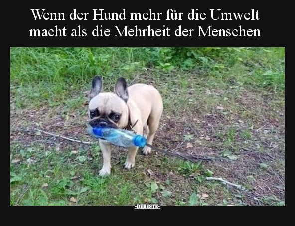 Wenn der Hund mehr für die Umwelt macht als die Mehrheit.. - Lustige Bilder | DEBESTE.de