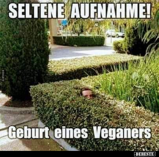 Seltene Aufnahme! Geburt eines Veganers.. - Lustige Bilder | DEBESTE.de