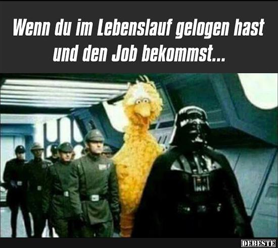 Wenn du im Lebenslauf gelogen hast und den Job bekommst.. - Lustige Bilder | DEBESTE.de