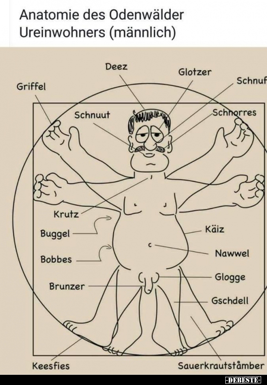 Anatomie des Odenwälder Ureinwohners (männlich).. - Lustige Bilder | DEBESTE.de