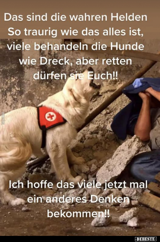 Das sind die wahren Helden So traurig wie das alles ist.. - Lustige Bilder | DEBESTE.de
