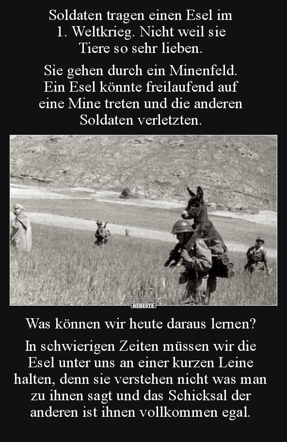 Soldaten tragen einen Esel im 1. Weltkrieg... - Lustige Bilder | DEBESTE.de