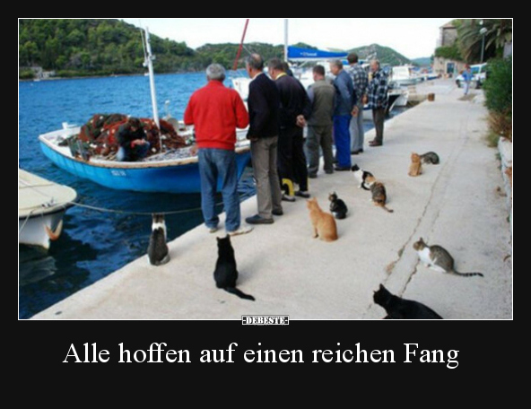 Alle hoffen auf einen reichen Fang.. - Lustige Bilder | DEBESTE.de