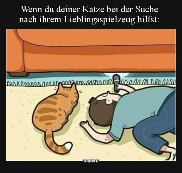Wenn du deiner Katze bei der Suche nach ihrem.. - Lustige Bilder | DEBESTE.de
