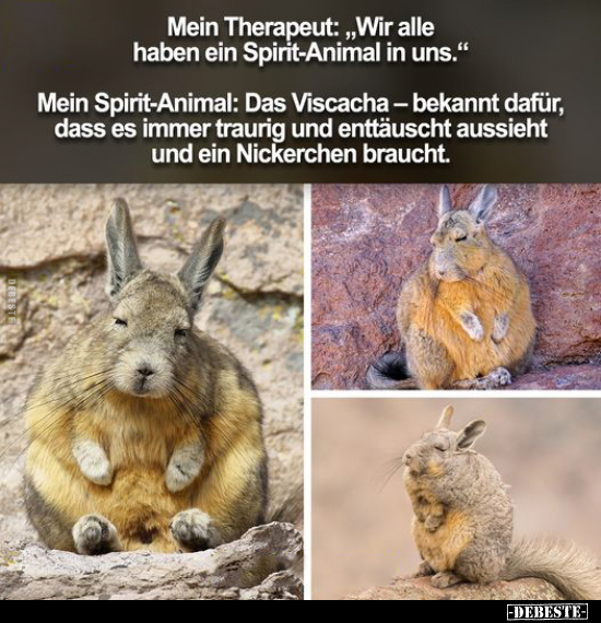 Mein Therapeut:„Wir alle haben ein Spirit-Animal in.. - Lustige Bilder | DEBESTE.de