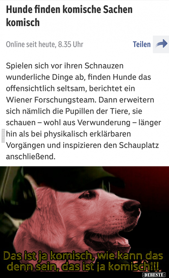 Hunde finden komische Sachen komisch.. - Lustige Bilder | DEBESTE.de