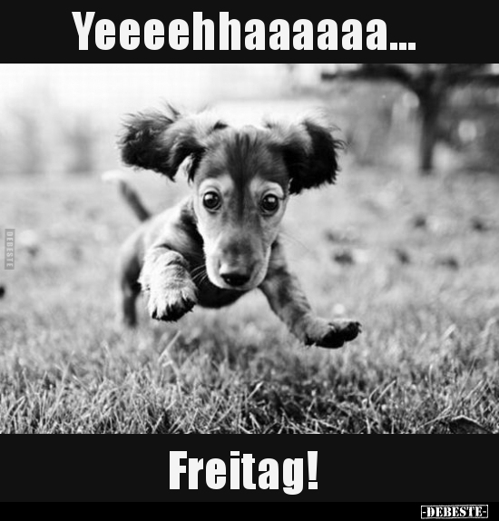 Yeeeehhaaaaaa... Freitag!.. - Lustige Bilder | DEBESTE.de