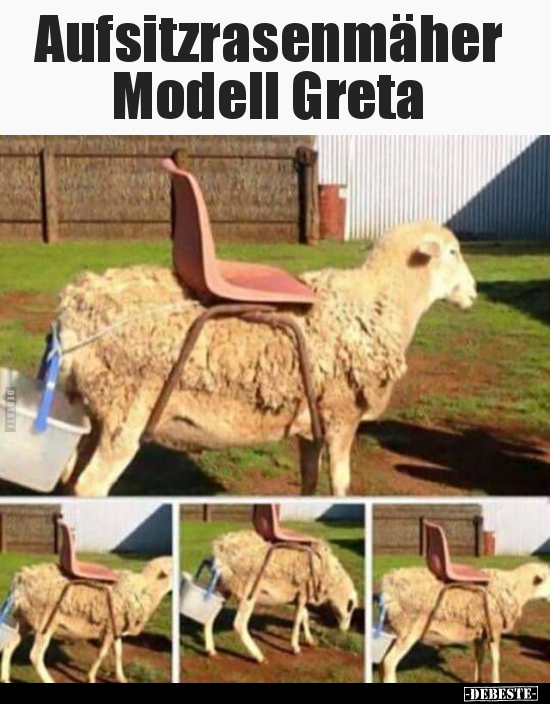 Aufsitzrasenmäher Modell Greta.. - Lustige Bilder | DEBESTE.de