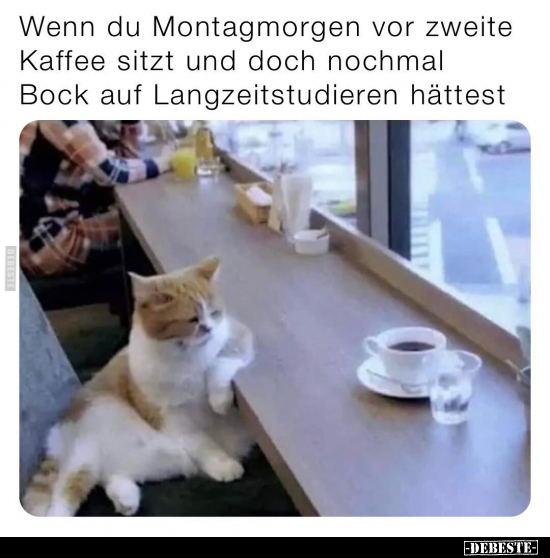 Wenn du Montagmorgen vor zweite Kaffee sitzt und doch.. - Lustige Bilder | DEBESTE.de