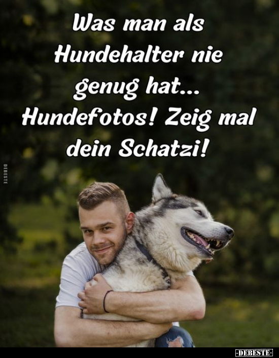 Was man als Hundehalter nie genug hat... - Lustige Bilder | DEBESTE.de