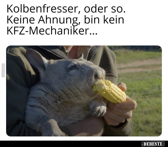 Kolbenfresser, oder so. Keine Ahnung, bin kein.. - Lustige Bilder | DEBESTE.de