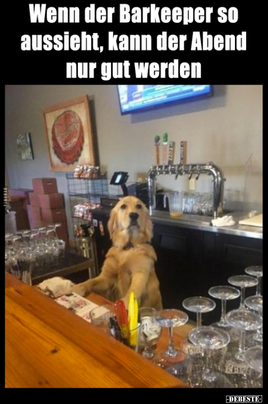 Wenn der Barkeeper so aussieht, kann der Abend nur gut.. - Lustige Bilder | DEBESTE.de