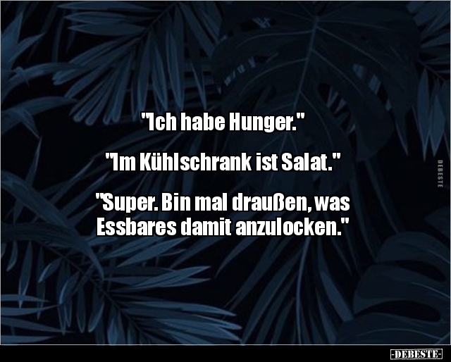 "Ich habe Hunger." "Im Kühlschrank ist Salat." - Lustige Bilder | DEBESTE.de