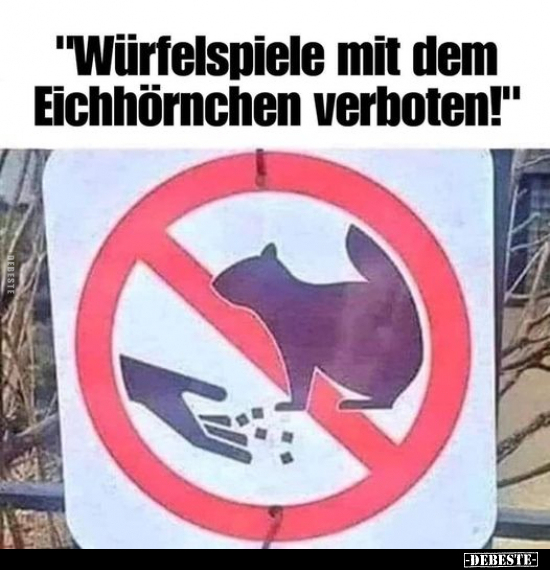 "Würfelspiele mit dem Eichhörnchen verboten!".. - Lustige Bilder | DEBESTE.de