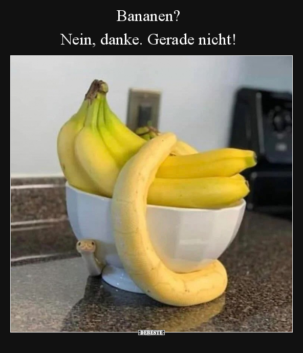 Bananen? Nein, danke. Gerade nicht!.. - Lustige Bilder | DEBESTE.de