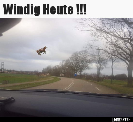 Windig Heute !!!.. - Lustige Bilder | DEBESTE.de