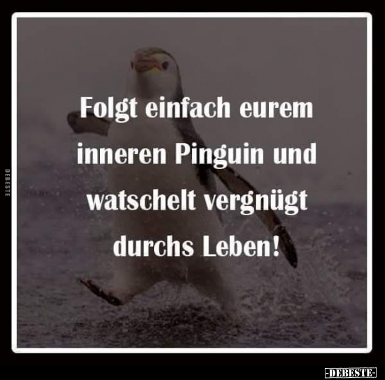 Folgt einfach eurem inneren Pinguin und watschelt vergnügt.. - Lustige Bilder | DEBESTE.de