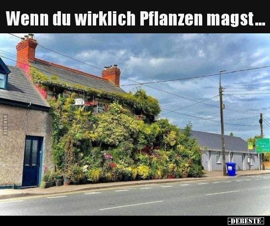 Wenn du wirklich Pflanzen magst... - Lustige Bilder | DEBESTE.de