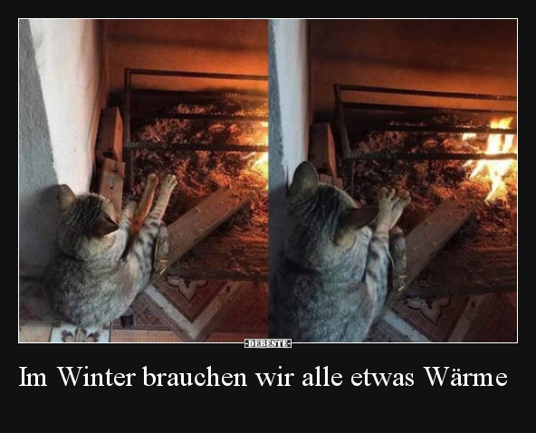 Im Winter brauchen wir alle etwas Wärme.. - Lustige Bilder | DEBESTE.de