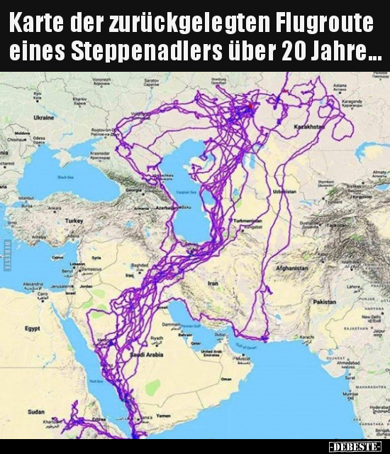 Karte der zurückgelegten Flugroute eines Steppenadlers über.. - Lustige Bilder | DEBESTE.de