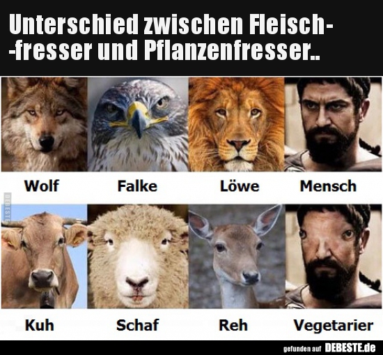 Unterschied zwischen Fleischfresser und.. - Lustige Bilder | DEBESTE.de