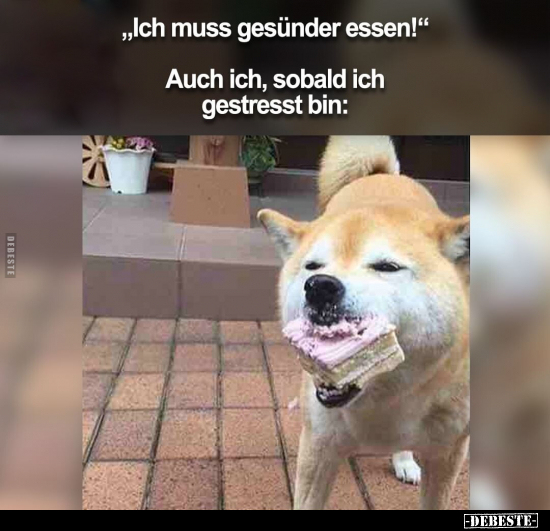 „Ich muss gesünder essen!".. - Lustige Bilder | DEBESTE.de