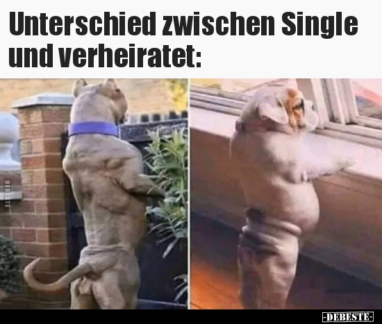 Unterschied zwischen Single und verheiratet.. - Lustige Bilder | DEBESTE.de