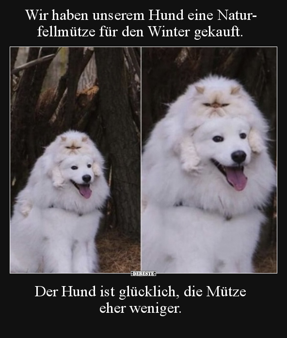 Wir haben unserem Hund eine Naturfellmütze für den Winter.. - Lustige Bilder | DEBESTE.de