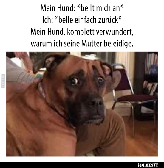 Mein Hund: *bellt mich an*.. - Lustige Bilder | DEBESTE.de