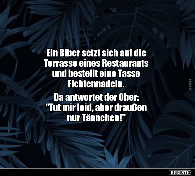 Ein Biber setzt sich auf die Terrasse eines Restaurants.. - Lustige Bilder | DEBESTE.de