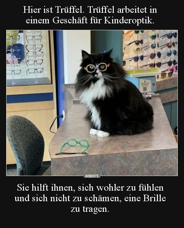Hier ist Trüffel. Trüffel arbeitet in einem Geschäft für.. - Lustige Bilder | DEBESTE.de