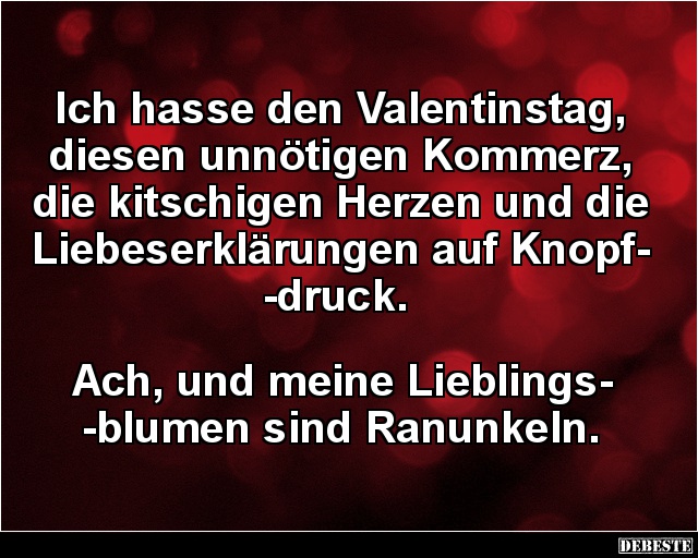 Ich hasse den Valentinstag, diesen unnötigen Kommerz.. - Lustige Bilder | DEBESTE.de