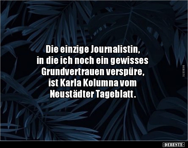 Die einzige Journalistin, in die ich noch ein gewisses.. - Lustige Bilder | DEBESTE.de