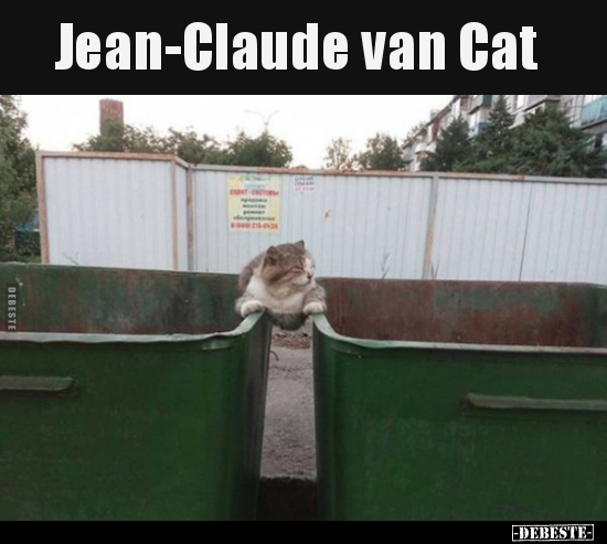 Jean-Claude van Cat.. - Lustige Bilder | DEBESTE.de