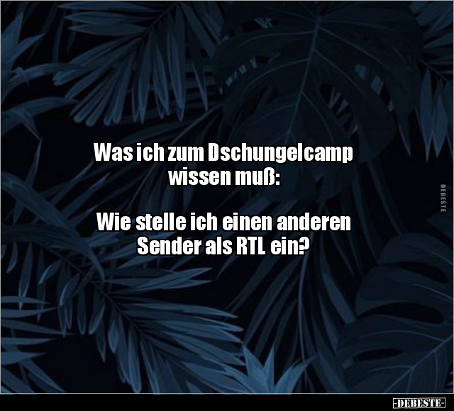Was ich zum Dschungelcamp wissen muß.. - Lustige Bilder | DEBESTE.de