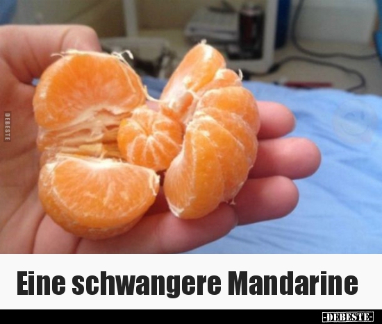 Eine schwangere Mandarine.. - Lustige Bilder | DEBESTE.de