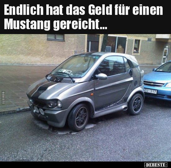Endlich hat das Geld für einen Mustang gereicht... - Lustige Bilder | DEBESTE.de