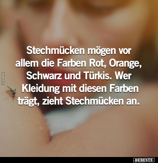 Stechmücken mögen vor allem die Farben Rot, Orange.. - Lustige Bilder | DEBESTE.de