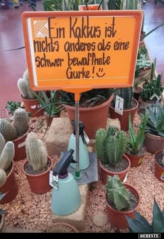 Ein Kaktus ist nichts anderes als eine schwer bewaffnete.. - Lustige Bilder | DEBESTE.de