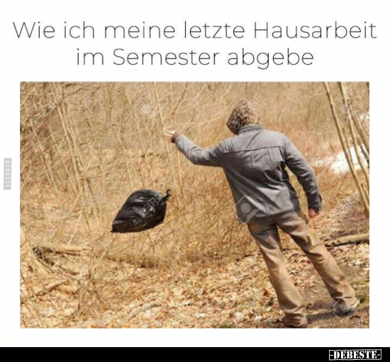 Wie ich meine letzte Hausarbeit im Semester abgebe.. - Lustige Bilder | DEBESTE.de