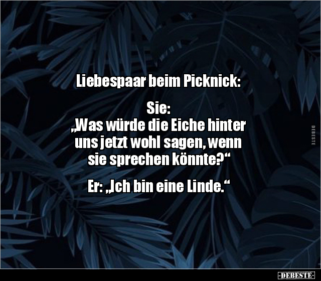 Liebespaar beim Picknick: Sie: "Was würde die Eiche.." - Lustige Bilder | DEBESTE.de