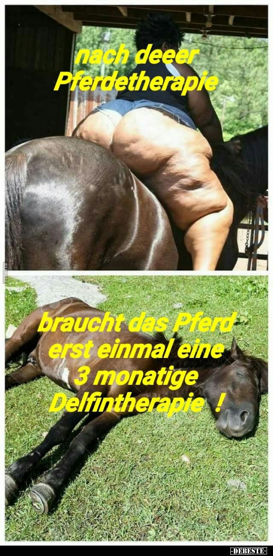 Nach der Pferdetherapie braucht das Pferd erst einmal eine.. - Lustige Bilder | DEBESTE.de