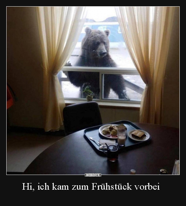 Hi, ich kam zum Frühstück vorbei.. - Lustige Bilder | DEBESTE.de