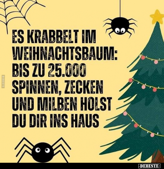 Es krabbelt im Weihnachtsbaum:.. - Lustige Bilder | DEBESTE.de