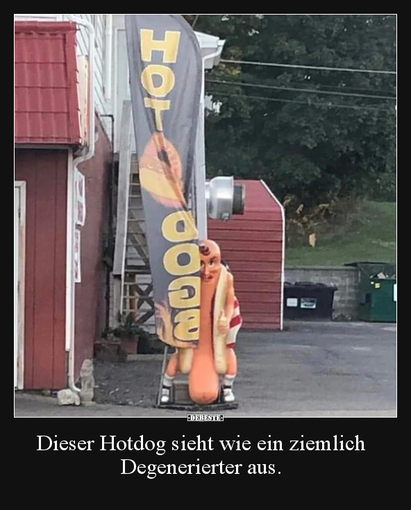 Dieser Hotdog sieht wie ein ziemlich Degenerierter aus... - Lustige Bilder | DEBESTE.de