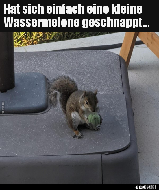 Hat sich einfach eine kleine Wassermelone geschnappt... - Lustige Bilder | DEBESTE.de